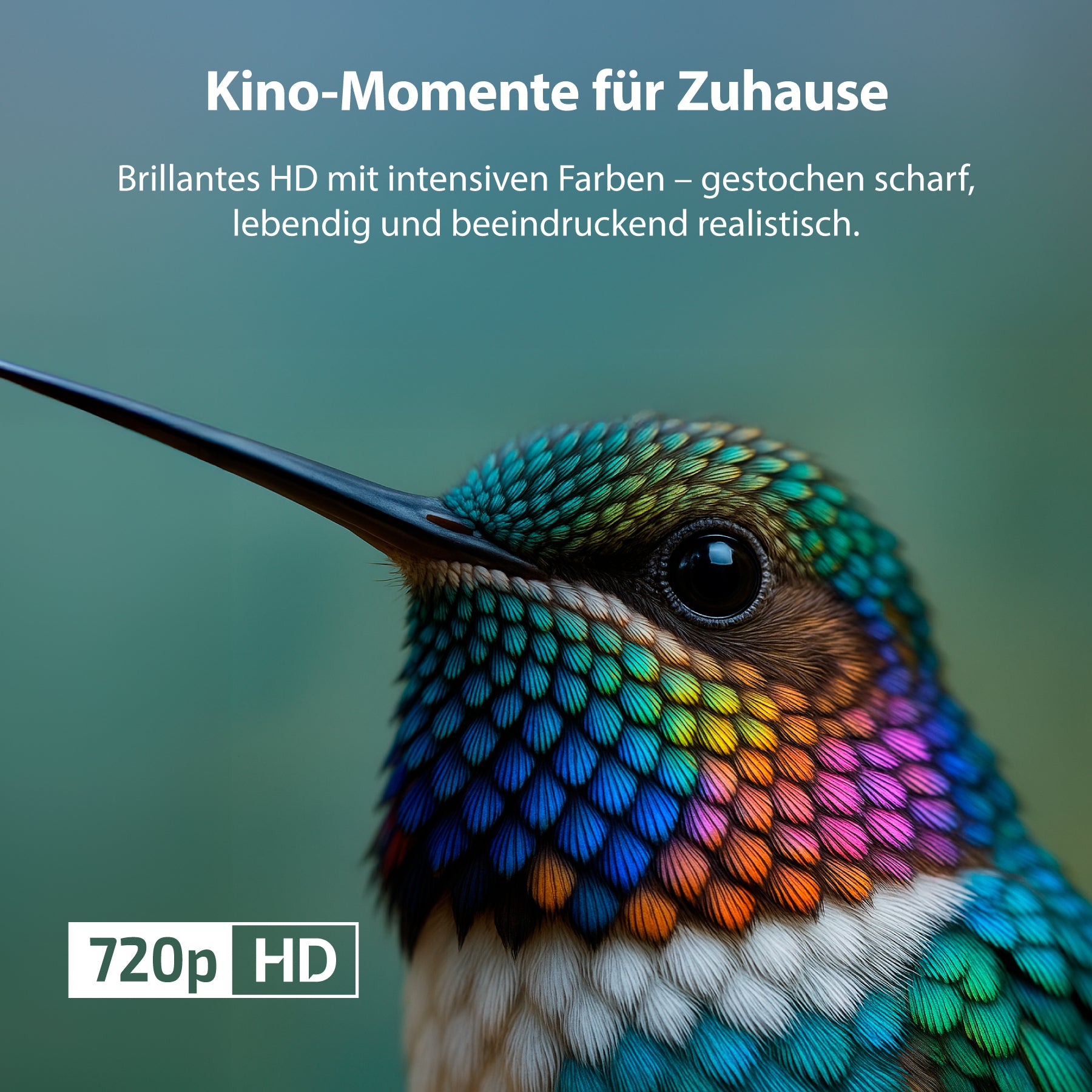 Eine lebendige Nahaufnahme eines Kolibris zeigt die 720p HD-Qualität des Dyon nexGo 32H Smart LED-Fernsehers. Der deutsche Text hebt die naturgetreue, scharfe und farbenfrohe Darstellung hervor und sorgt so für eindringliche Heimkino-Momente.