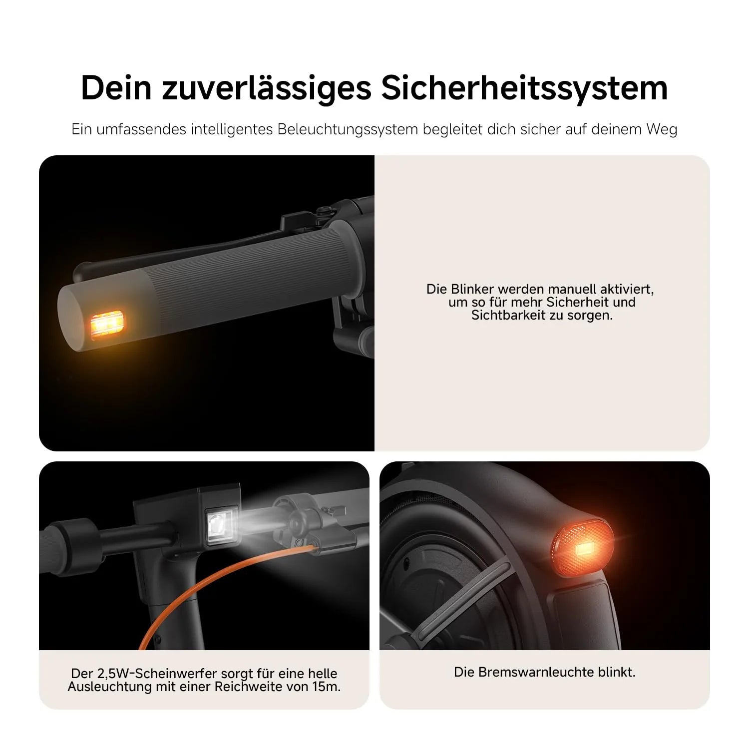 Content Image 5
