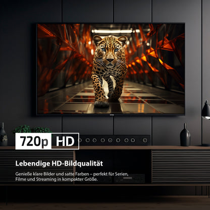 Der Dyon Ultimax 24H-TI-W Smart TV (24 Zoll, 60 cm) zeigt ein hochauflösendes Bild eines Leoparden, der vorwärts läuft, mit "720p HD" und einem deutschen Text über lebendige Bildqualität unter dem Bildschirm.